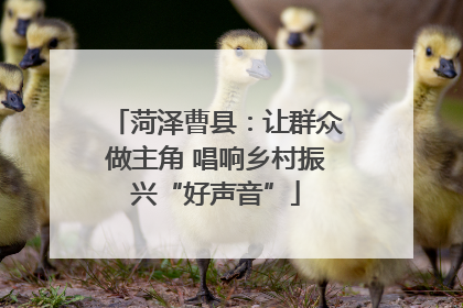 菏泽曹县：让群众做主角 唱响乡村振兴“好声音”