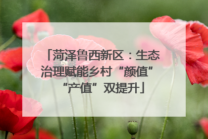 菏泽鲁西新区：生态治理赋能乡村“颜值”“产值”双提升