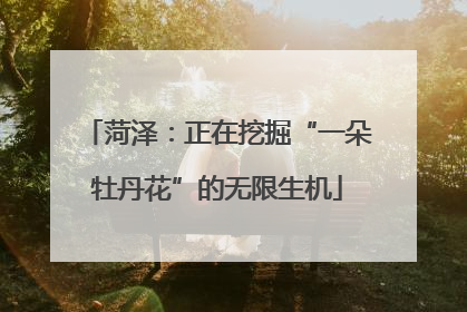 菏泽：正在挖掘“一朵牡丹花”的无限生机
