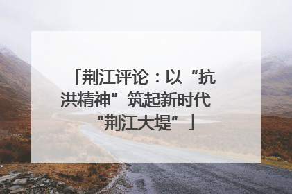 荆江评论：以“抗洪精神”筑起新时代“荆江大堤”