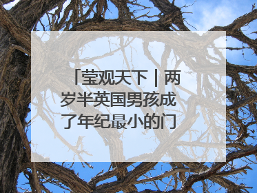 莹观天下｜两岁半英国男孩成了年纪最小的门萨俱乐部成员