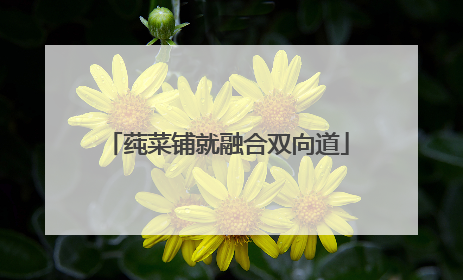 莼菜铺就融合双向道