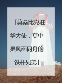 莫桑比克驻华大使：莫中是风雨同舟的铁杆兄弟