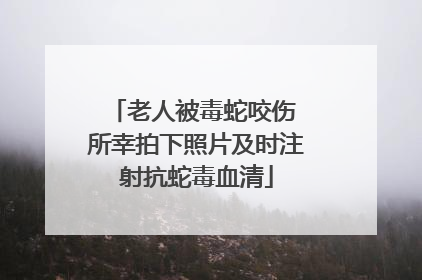 老人被毒蛇咬伤 所幸拍下照片及时注射抗蛇毒血清