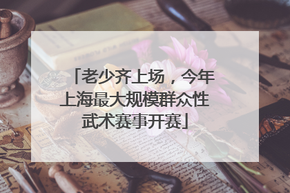 老少齐上场，今年上海最大规模群众性武术赛事开赛