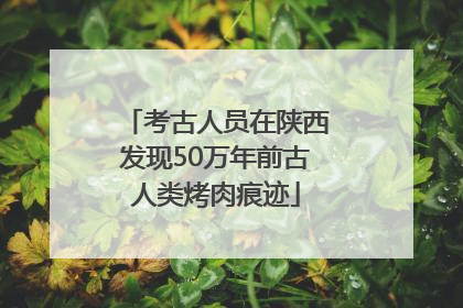 考古人员在陕西发现50万年前古人类烤肉痕迹