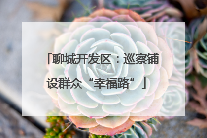 聊城开发区：巡察铺设群众“幸福路”