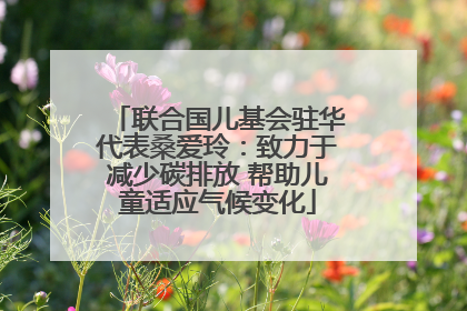 联合国儿基会驻华代表桑爱玲：致力于减少碳排放 帮助儿童适应气候变化