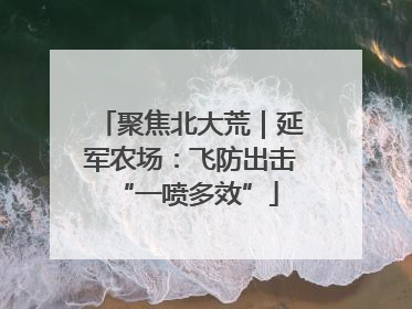 聚焦北大荒｜延军农场：飞防出击 “一喷多效”