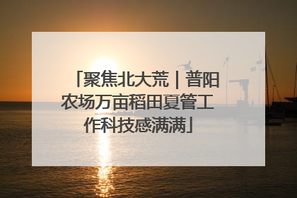 聚焦北大荒｜普阳农场万亩稻田夏管工作科技感满满