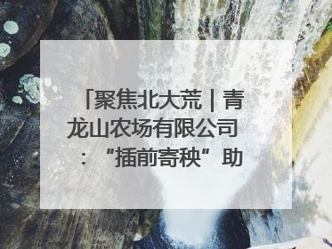 聚焦北大荒｜青龙山农场有限公司：“插前寄秧”助力农业节本增效