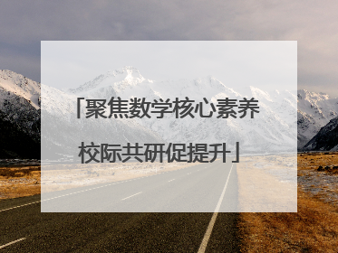 聚焦数学核心素养 校际共研促提升