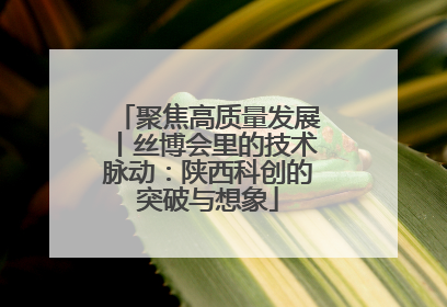 聚焦高质量发展丨丝博会里的技术脉动：陕西科创的突破与想象