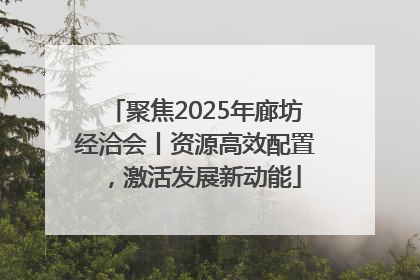 聚焦2025年廊坊经洽会丨资源高效配置，激活发展新动能