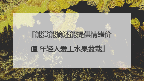 能赏能摘还能提供情绪价值 年轻人爱上水果盆栽