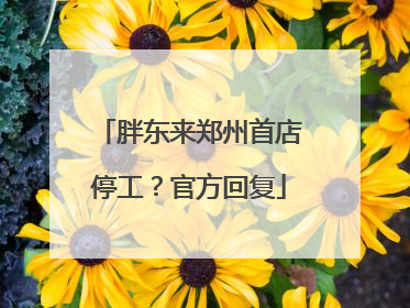胖东来郑州首店停工？官方回复