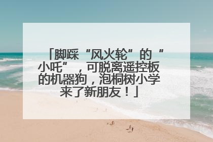 脚踩“风火轮”的“小吒”，可脱离遥控板的机器狗，泡桐树小学来了新朋友！