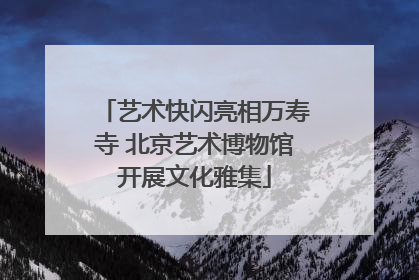 艺术快闪亮相万寿寺 北京艺术博物馆开展文化雅集