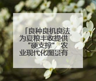 良种良机良法为夏粮丰收提供“硬支撑” 农业现代化图景有“智”更有“质”