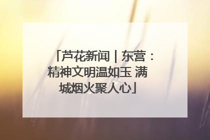 芦花新闻｜东营：精神文明温如玉 满城烟火聚人心