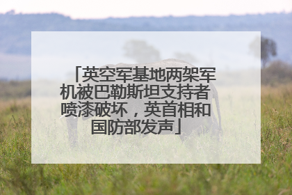 英空军基地两架军机被巴勒斯坦支持者喷漆破坏，英首相和国防部发声