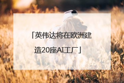 英伟达将在欧洲建造20座AI工厂