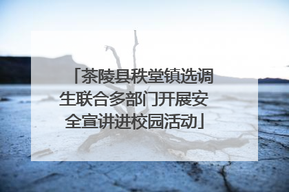 茶陵县秩堂镇选调生联合多部门开展安全宣讲进校园活动
