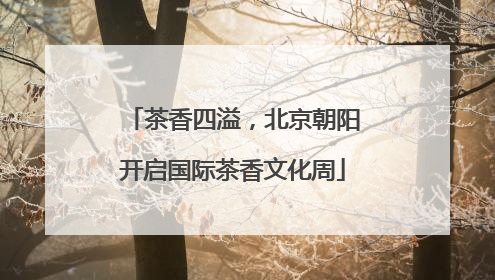 茶香四溢，北京朝阳开启国际茶香文化周