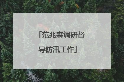 范兆森调研督导防汛工作
