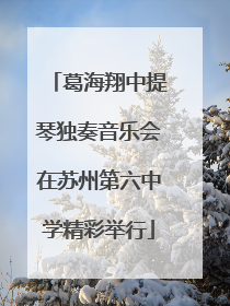 葛海翔中提琴独奏音乐会在苏州第六中学精彩举行