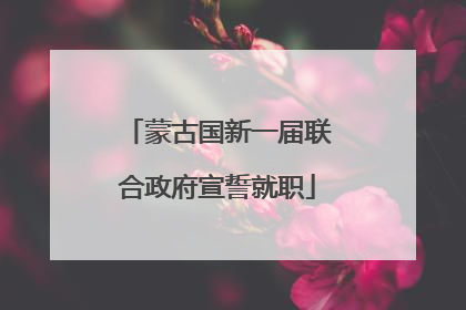 蒙古国新一届联合政府宣誓就职