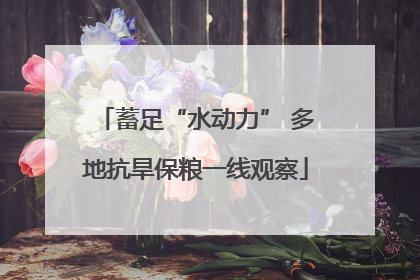 蓄足“水动力” 多地抗旱保粮一线观察