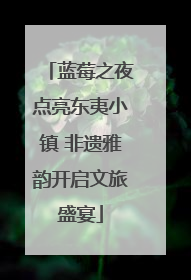 蓝莓之夜点亮东夷小镇 非遗雅韵开启文旅盛宴
