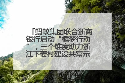 蚂蚁集团联合浙商银行启动“栀梦行动”，三个维度助力浙江下姜村建设共富示范区示范点