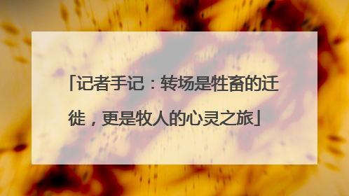 记者手记：转场是牲畜的迁徙，更是牧人的心灵之旅