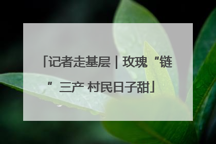 记者走基层｜玫瑰“链”三产 村民日子甜