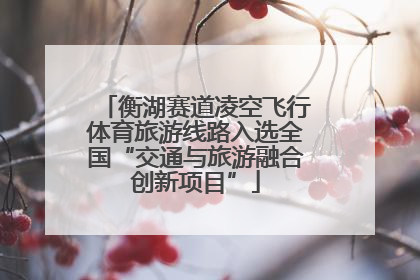 衡湖赛道凌空飞行体育旅游线路入选全国“交通与旅游融合创新项目”