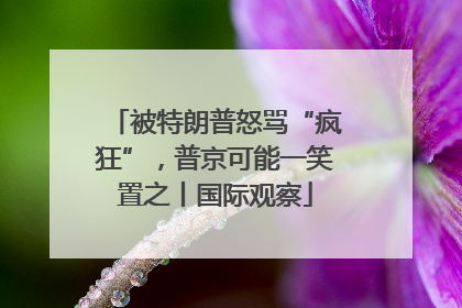被特朗普怒骂“疯狂”，普京可能一笑置之丨国际观察