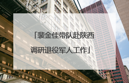 裴金佳带队赴陕西调研退役军人工作