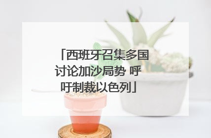 西班牙召集多国讨论加沙局势 呼吁制裁以色列