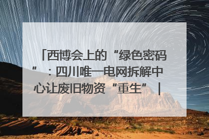 西博会上的“绿色密码”：四川唯一电网拆解中心让废旧物资“重生”｜西博寻“新”记