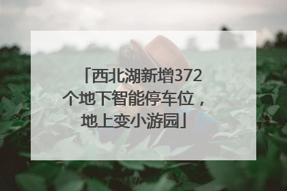 西北湖新增372个地下智能停车位，地上变小游园