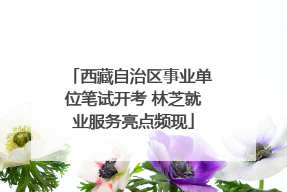 西藏自治区事业单位笔试开考 林芝就业服务亮点频现