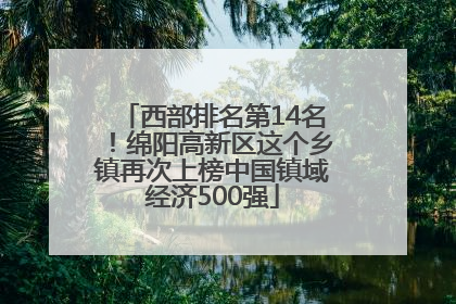 西部排名第14名！绵阳高新区这个乡镇再次上榜中国镇域经济500强
