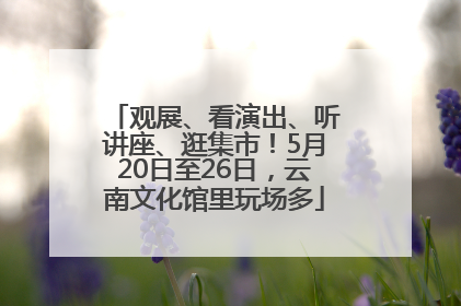 观展、看演出、听讲座、逛集市！5月20日至26日，云南文化馆里玩场多