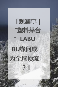 观澜亭｜“塑料茅台”LABUBU缘何成为全球顶流？