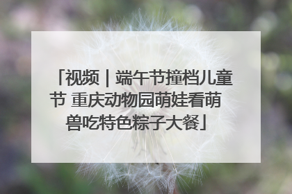 视频｜端午节撞档儿童节 重庆动物园萌娃看萌兽吃特色粽子大餐
