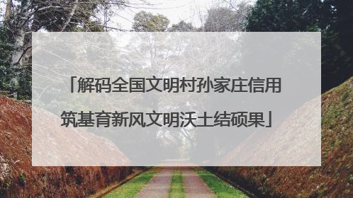 解码全国文明村孙家庄信用筑基育新风文明沃土结硕果
