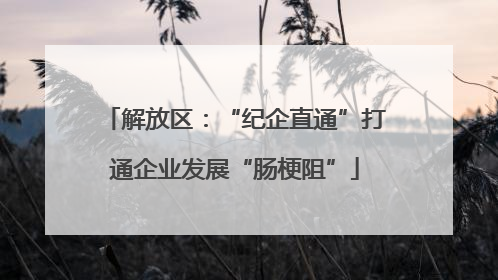 解放区：“纪企直通”打通企业发展“肠梗阻”