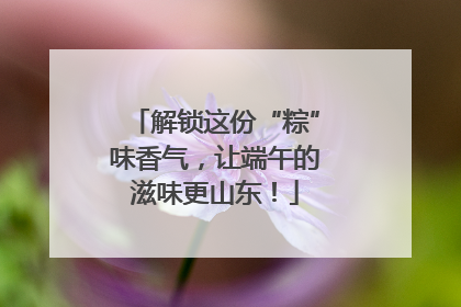 解锁这份“粽”味香气，让端午的滋味更山东！